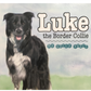 Luke the Border Collie: My Early Years by Luke and Sister Mary Foley, SSND